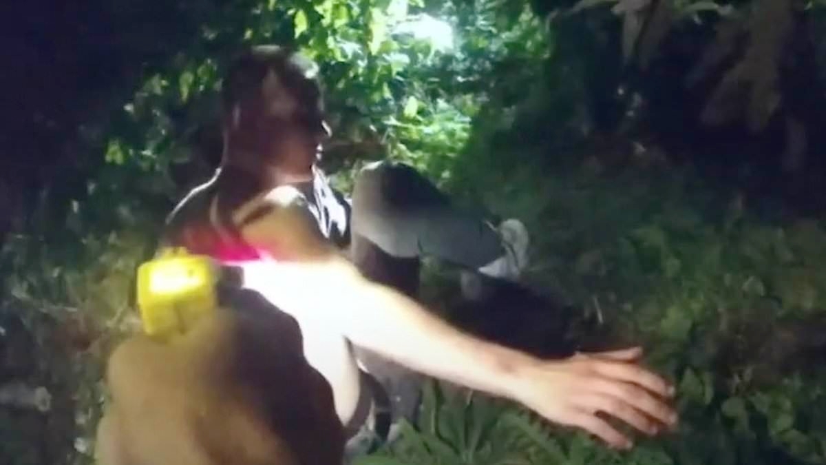 Moment teenage thug is caught cowering in bushes after stabbing his neighbour 51 times - as he is jailed for almost six years for attempted murder