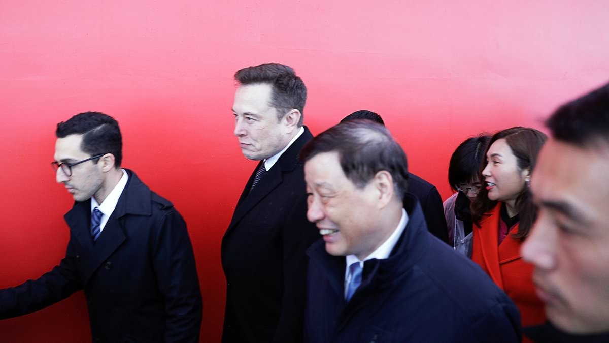 Elon Musk finds his Tesla 'scapegoat' after billionaire's White House antics were blamed for cratering EV sales