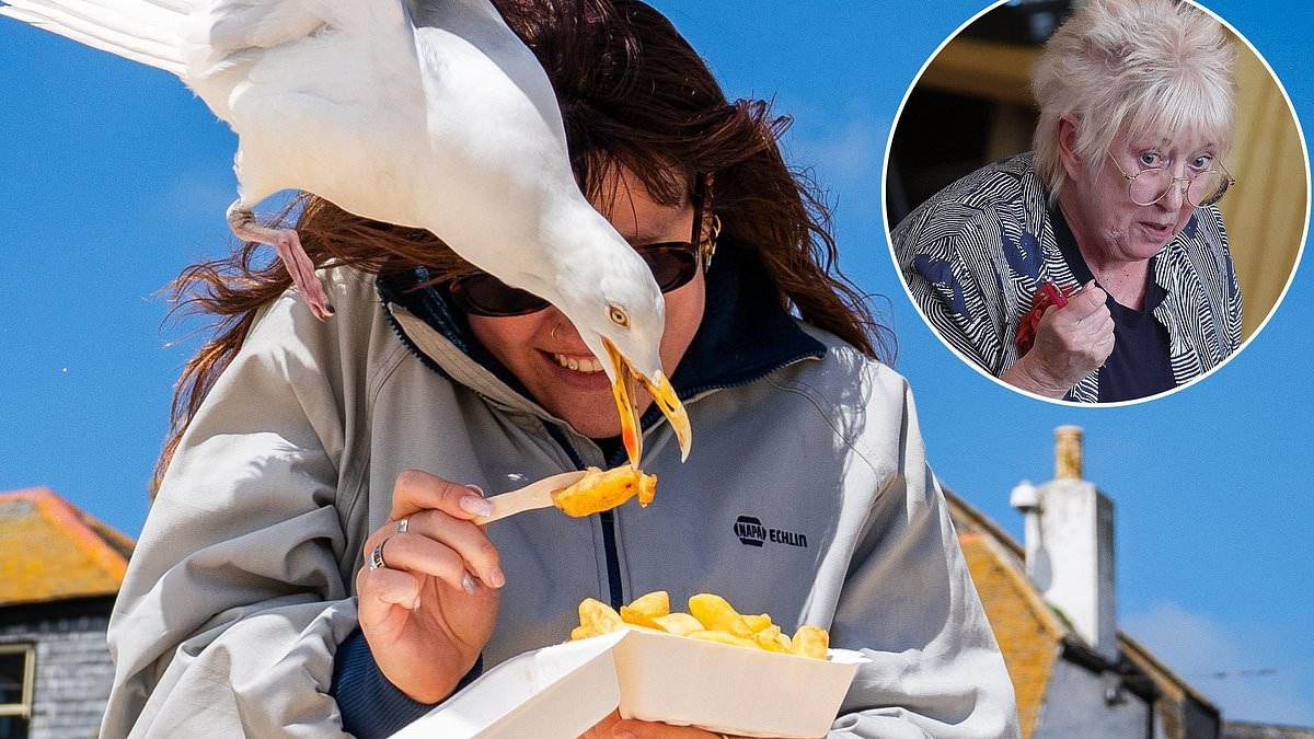 Don't use 'value-laden language' against seagulls...it might 'demonise' them, claims veteran SNP MSP