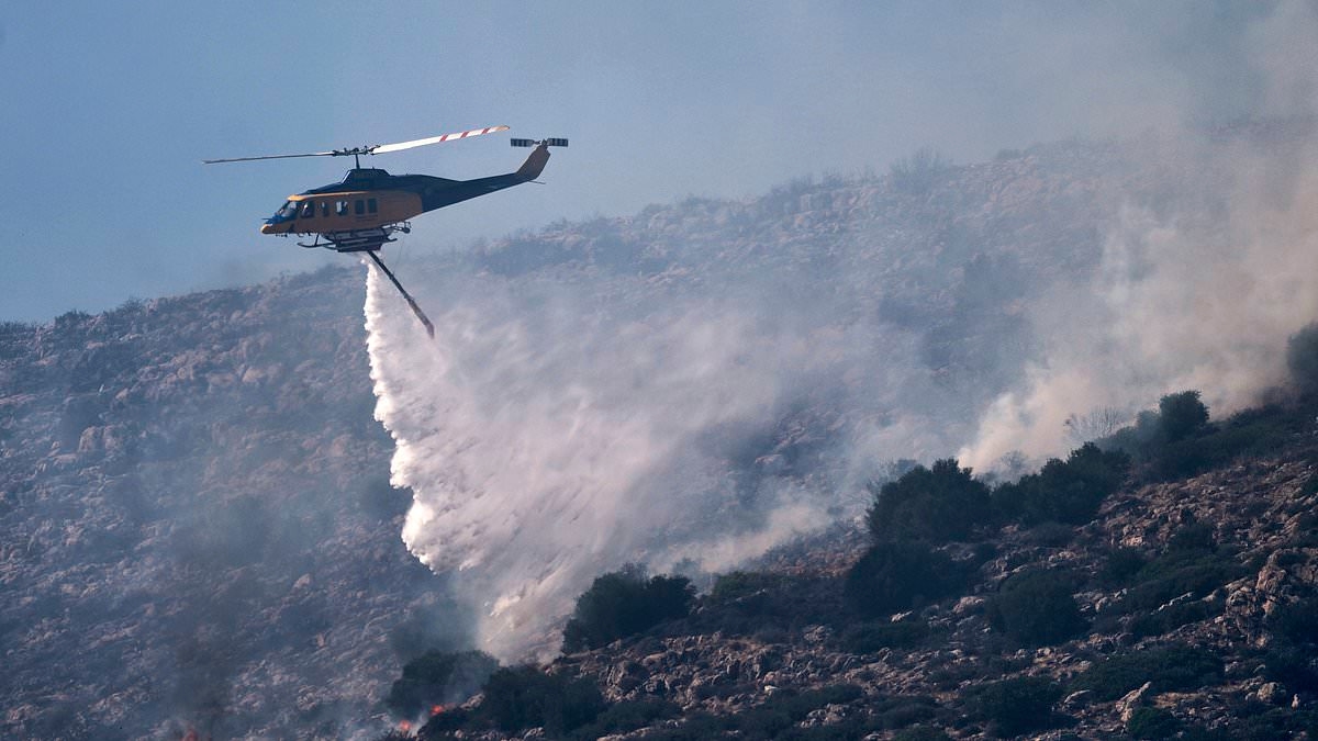 Dozens evacuated as forest fire rages near Athens
