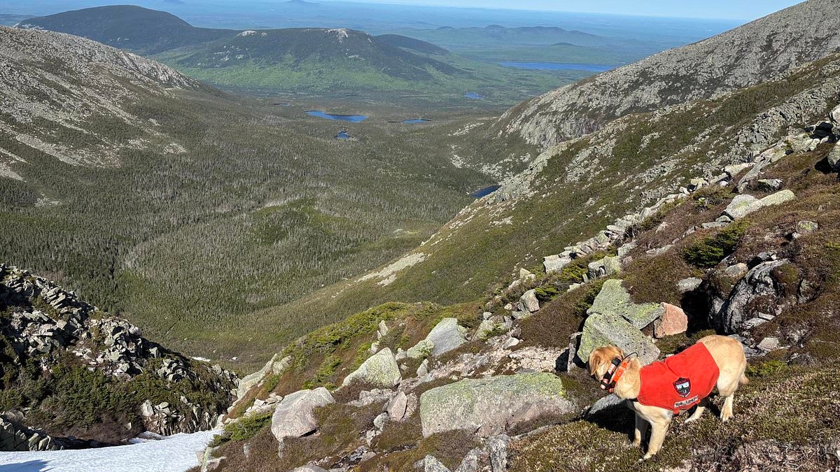 Cause of death revealed for father who took daughter on bucket list hike up Maine's highest mountain