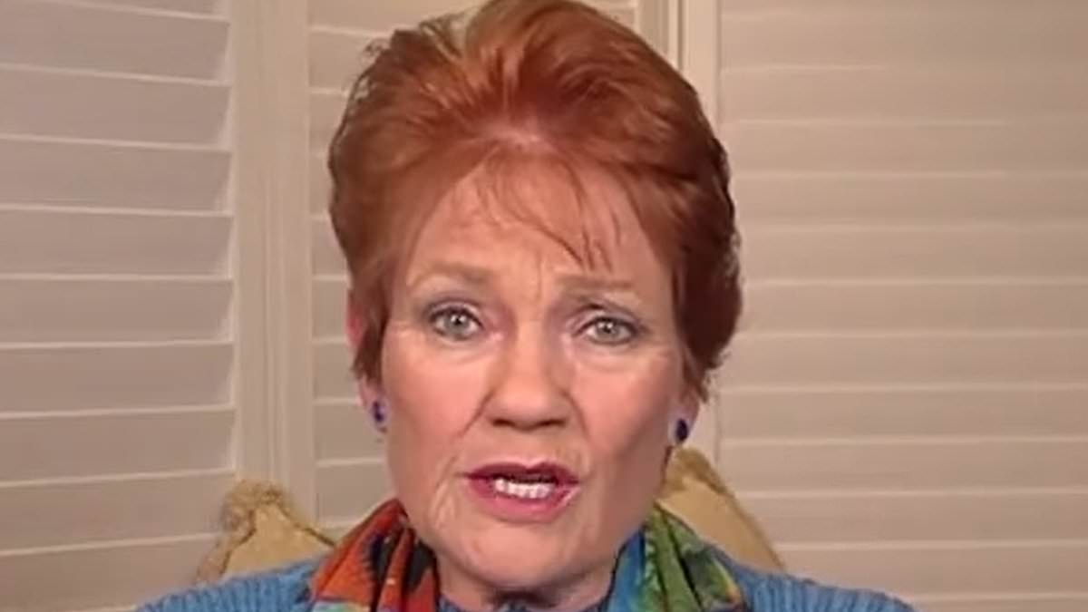 Pauline Hanson unleashes on Anthony Albanese - as she issues a warning to Australia