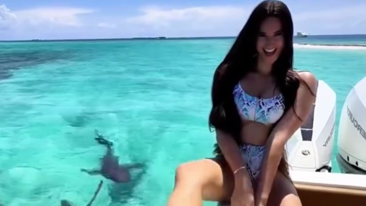 Model with legs worth $15m nearly 'loses' money-making limb during run-in with a SHARK