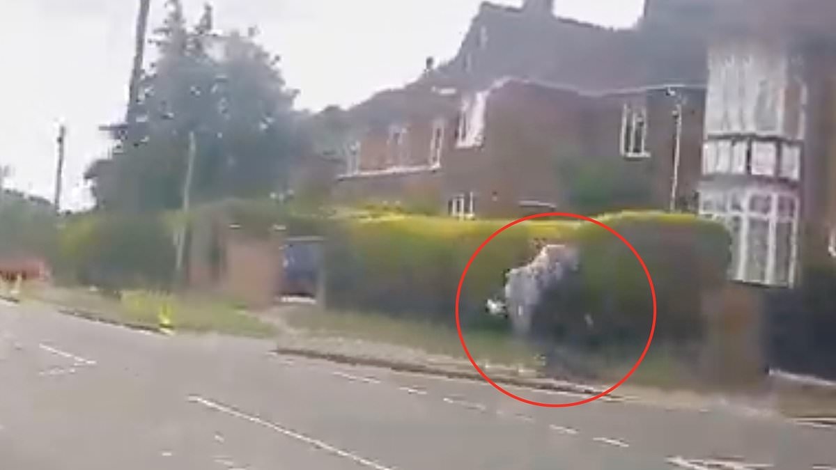 Instant Karma! Speeding e-scooter riders crash into each other after hurtling down pavement