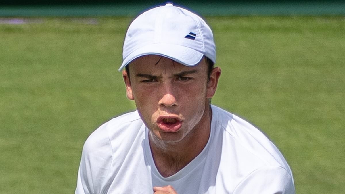 Revealed: The bizarre reason British No 719 WON'T be able to claim £66,000 prize money after qualifying for main Wimbledon draw
