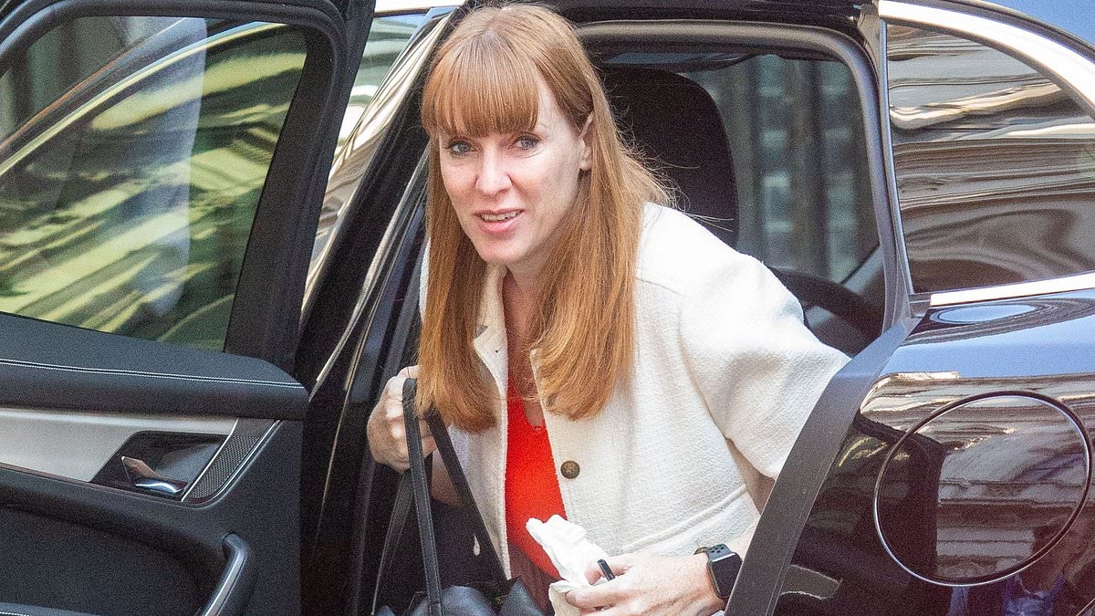 Angela Rayner's civil servants launch 'work to rule' protest after being told they cannot WFH