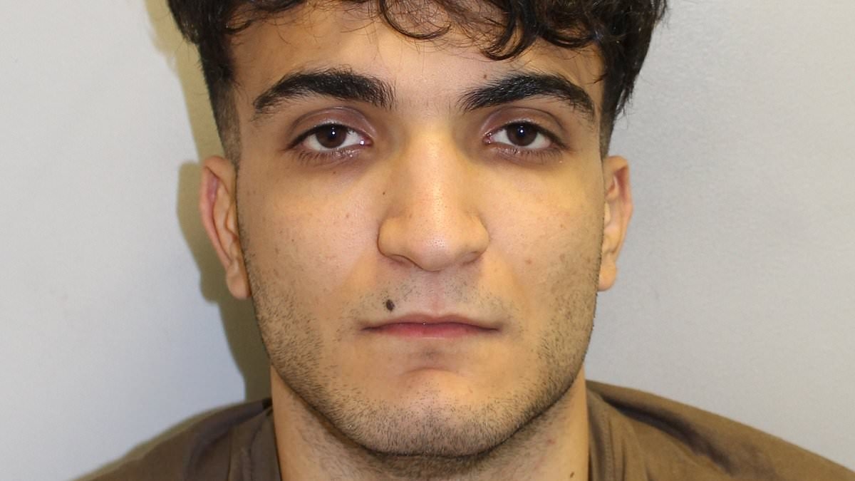 Paedophile, 21, who hounded 13-year-old girl into alleyway before raping her in broad daylight is jailed