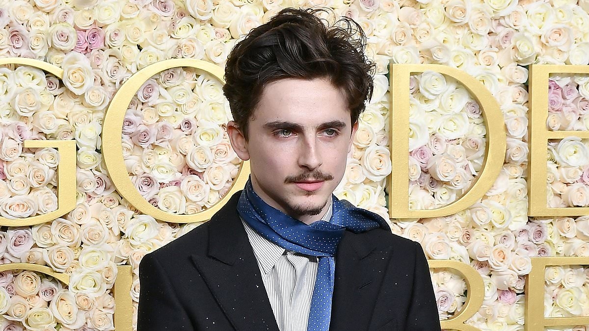 EXCLUSIVE Timothee Chalamet being considered for Bond role as his Dune director Denis Villeneuve takes on 007