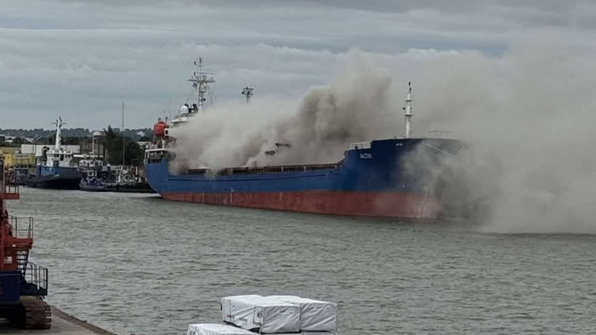 Container ship goes up in flames in Hull with roads and museum forced to close as swathes of city are blanketed with thick smoke