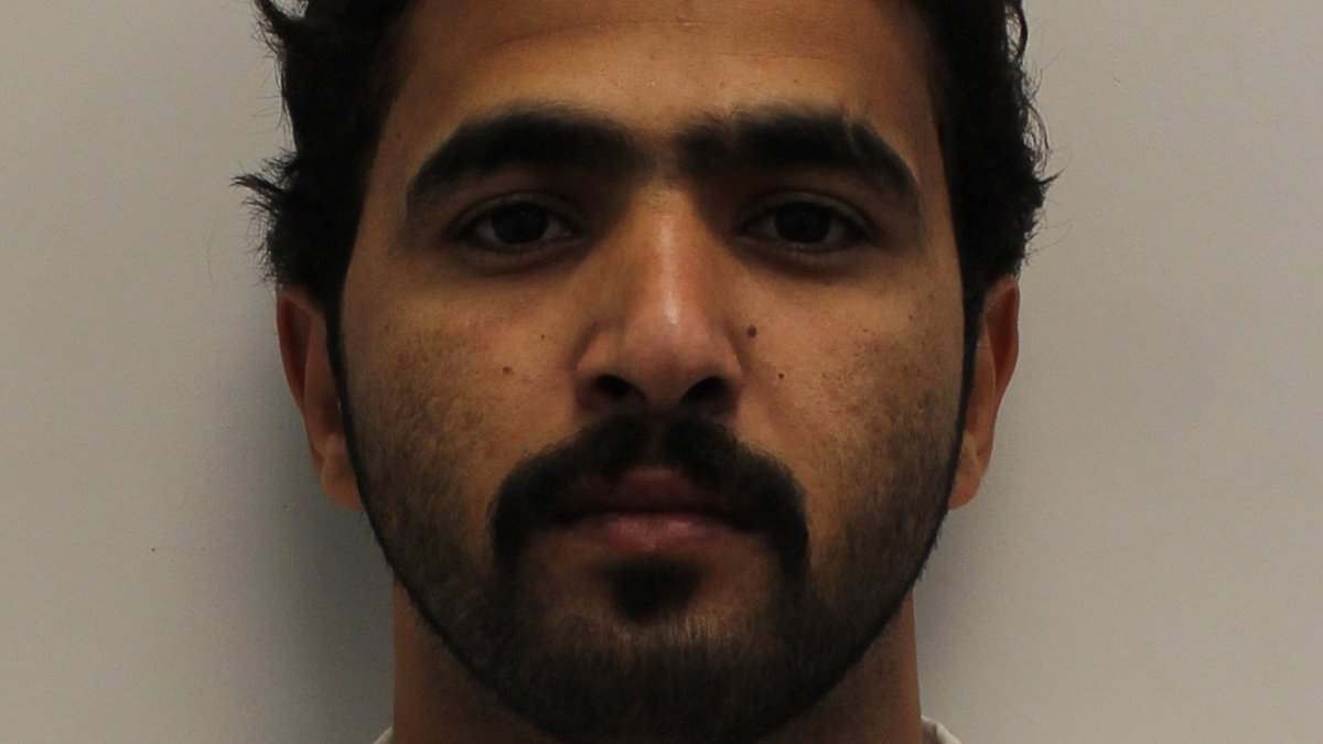 How a camel herder from Qatar who can't speak a word of English ended up living in London's smartest street - then tried to rape a woman in a private heart clinic where HE was being treated