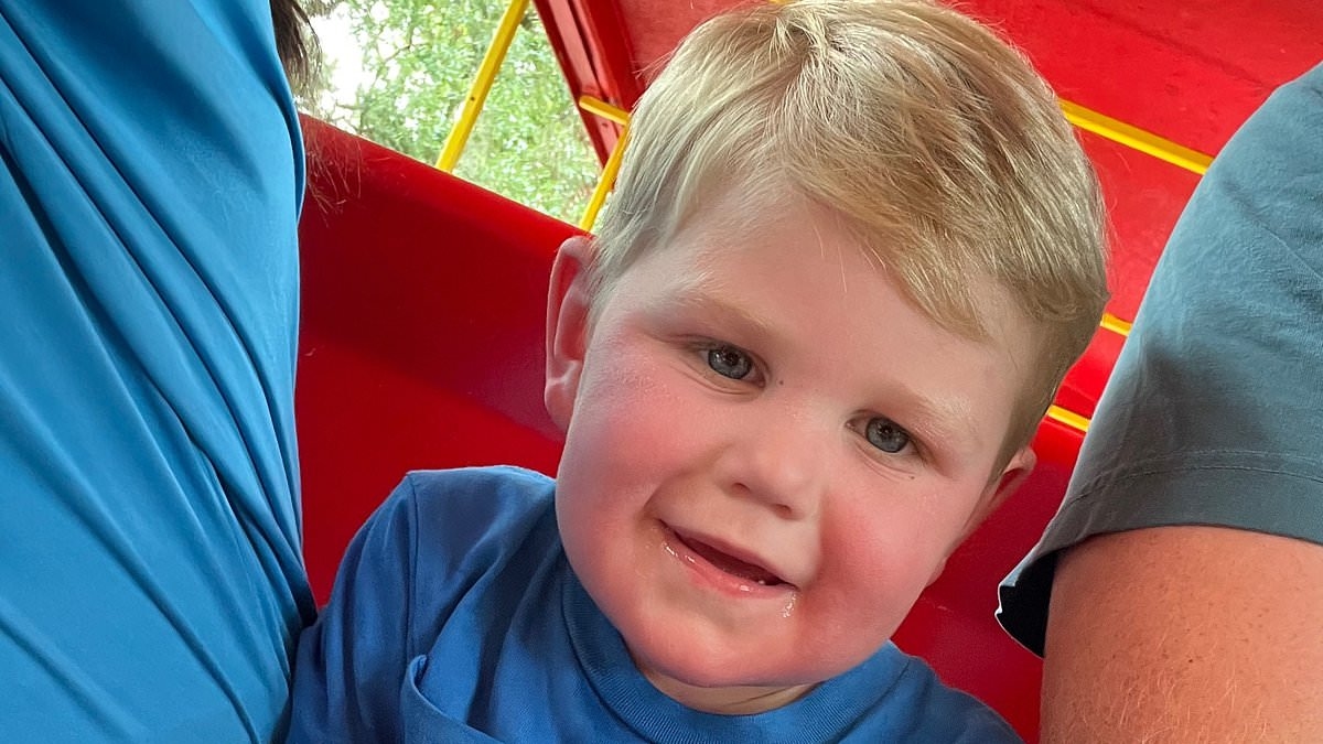 Horror as toddler missing a kidney is stung 150 times by wasps and is left fighting for his life