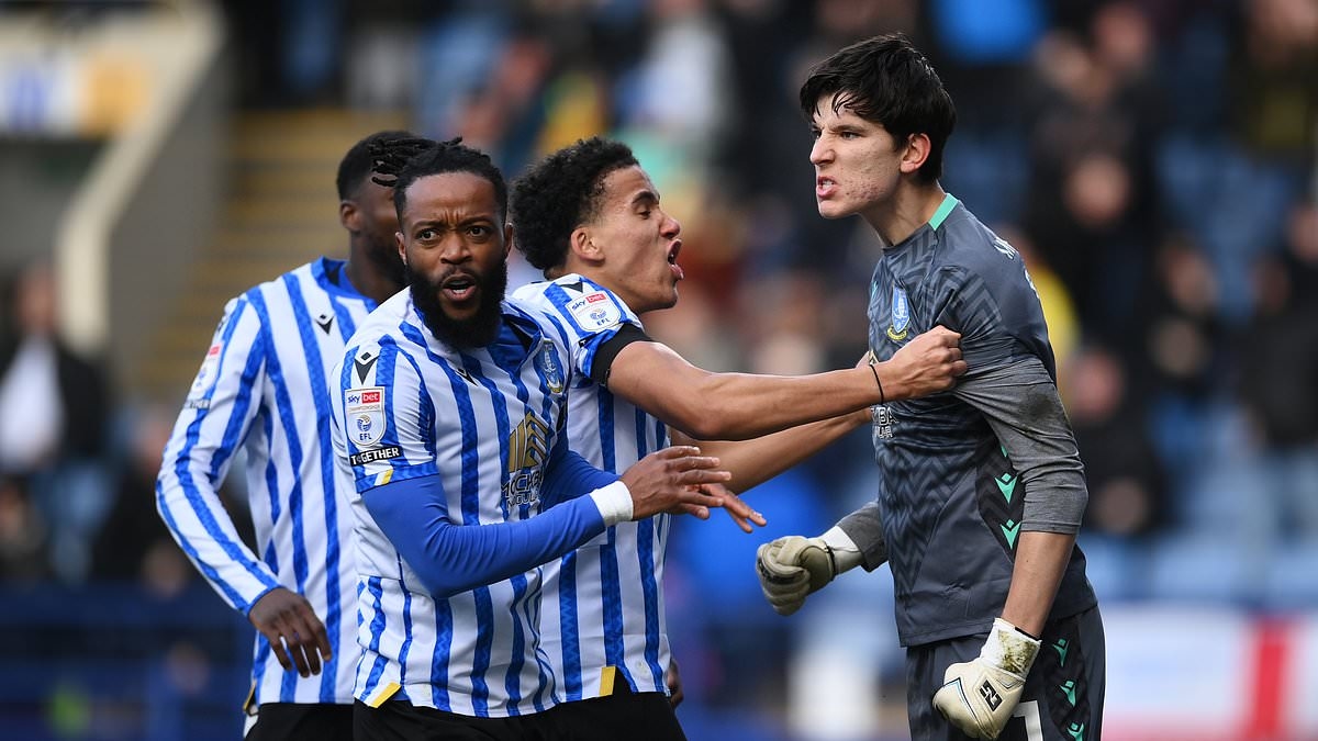 Finances in freefall, banned from signing players - and a manager eyeing the exit door: Why Sheffield Wednesday are buckling up for a deepening crisis, writes MATT BARLOW