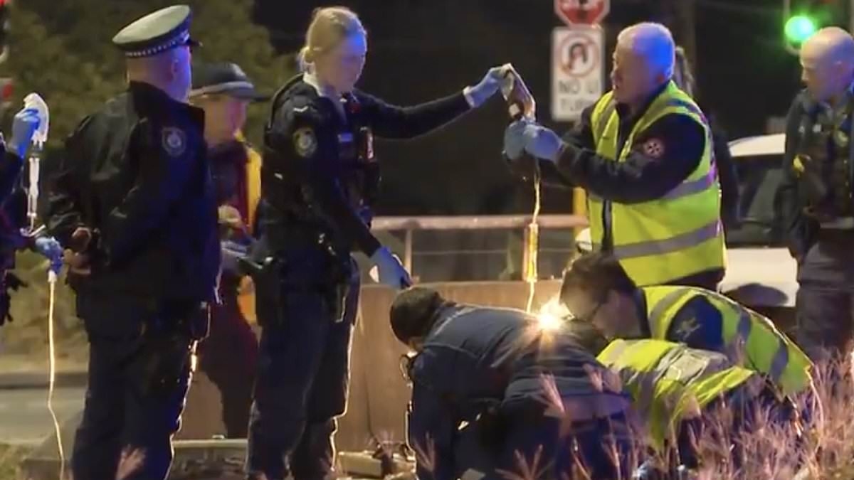BREAKING NEWS Major update after man was struck by mystery driver in alleged hit-and-run in Sydney's south-west
