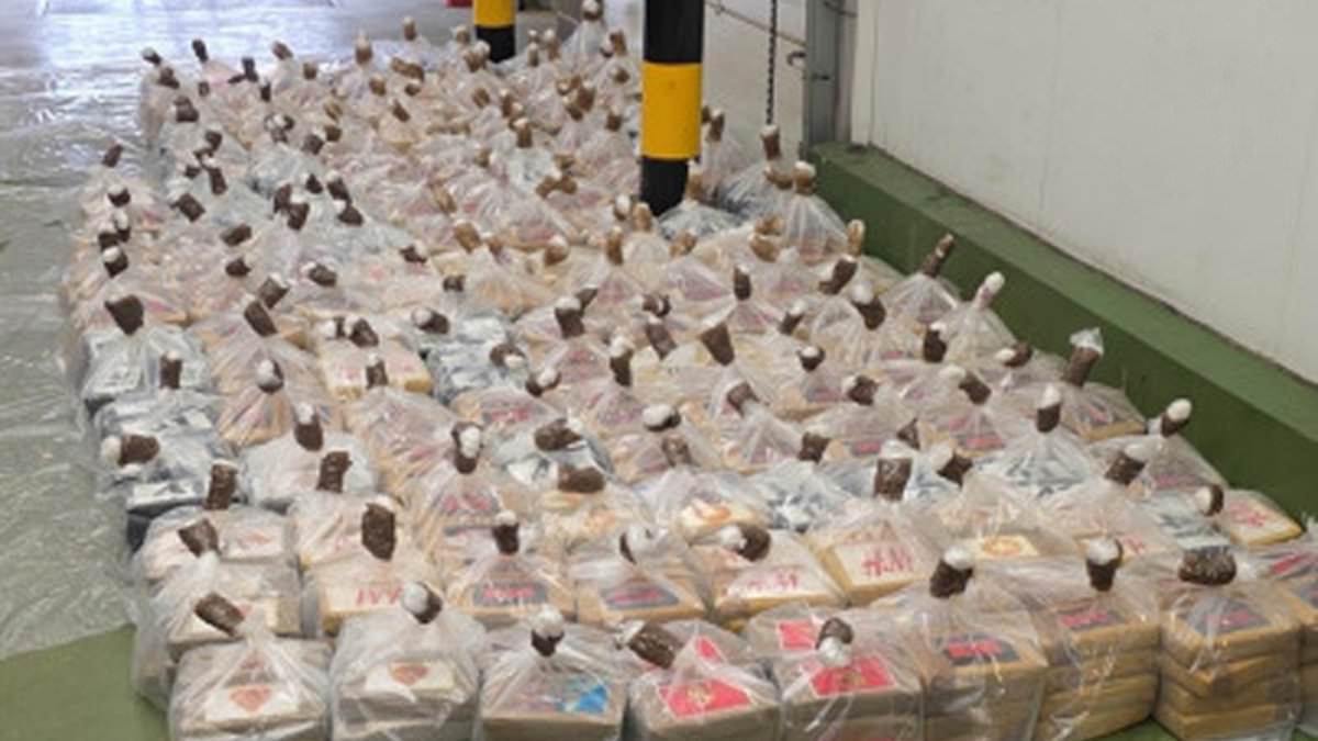 Border Force seizes enormous £100m cocaine shipment at London port - one of the biggest drugs busts in years