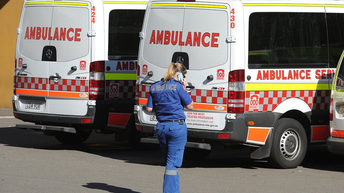 Elderly patient allegedly punches female paramedic who was trying to help him