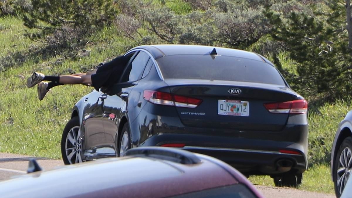 Grand Teton Tourist Dives Headfirst Through Open Car Window To Avoid Grizzly