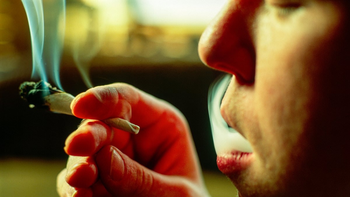 EXCLUSIVE Cannabis 'is worse for our society than heroin,' police tsars say - as they demand government upgrade it to a class A drug