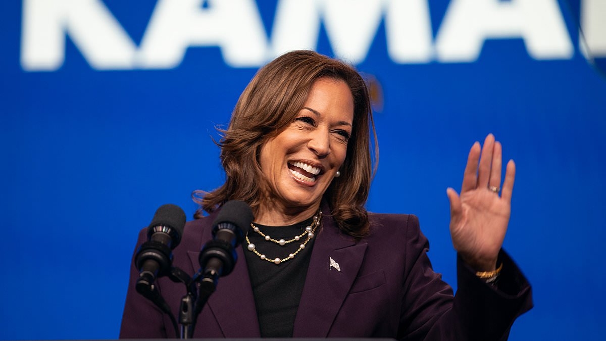 Kamala's comeback bid sparks Democrat donor meltdown amid fears she'll sink party in California