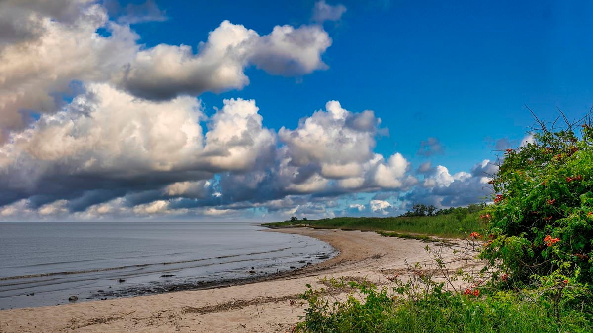 War of words erupts on East Coast as locals propose renaming Delaware Bay... inspired by Trump's Gulf of America