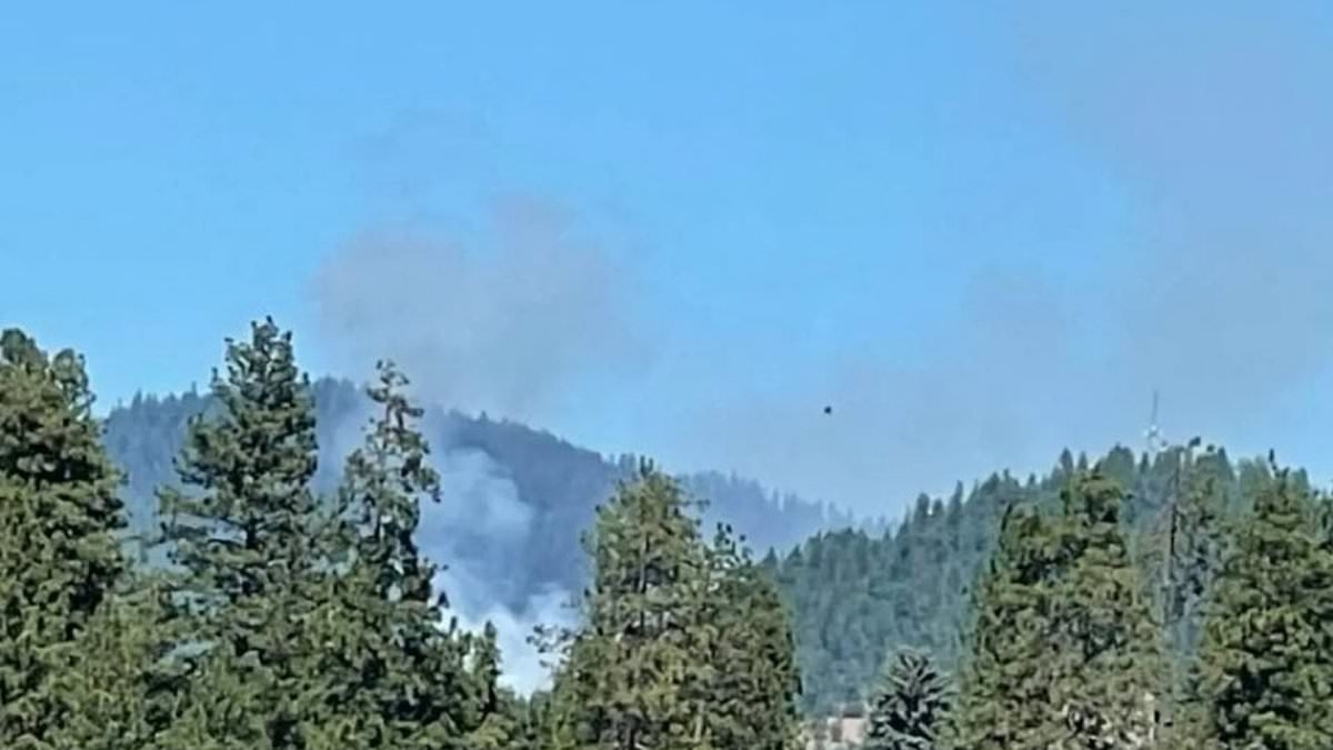 Coeur d'Alene firefighters and police injured in Idaho shooting
