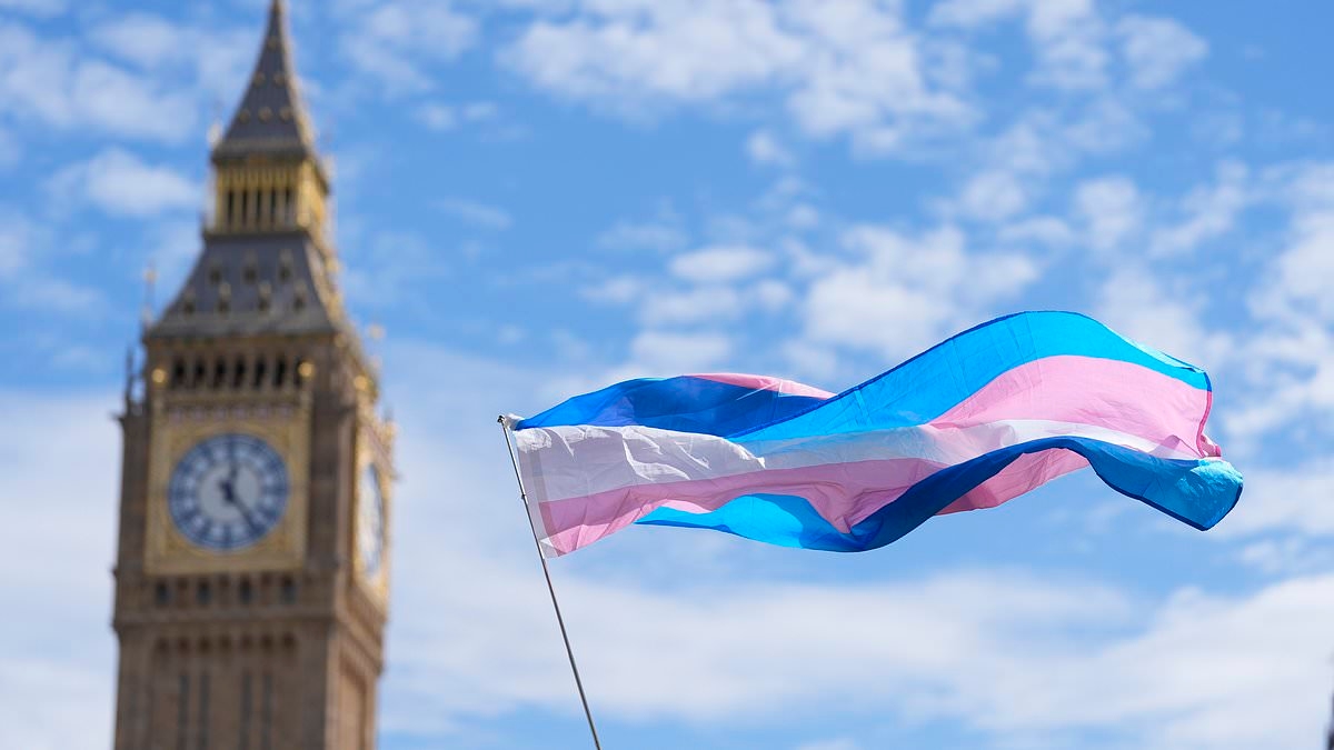 Broadcasters must air the view that trans women are women, media watchdog says