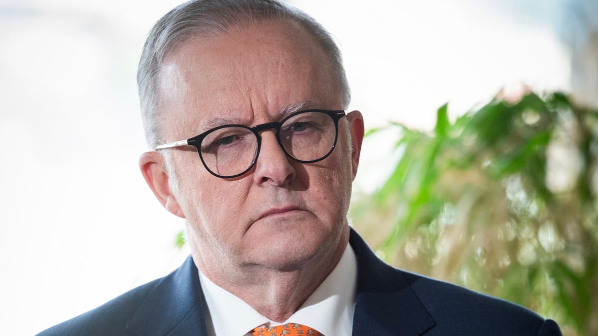 American politician issues a wake-up call for Anthony Albanese - and what he needs to do for Trump
