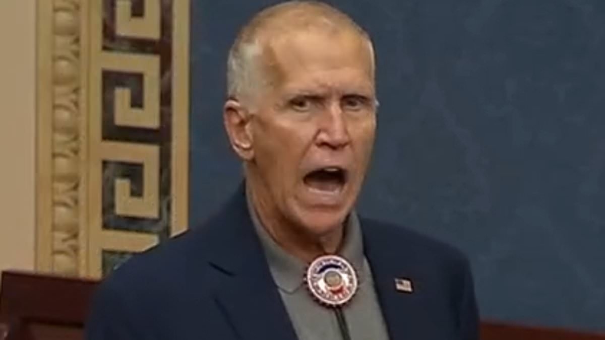 GOP rebel Thom Tillis rampages against Trump's 'big, beautiful bill' after withdrawing from re-election