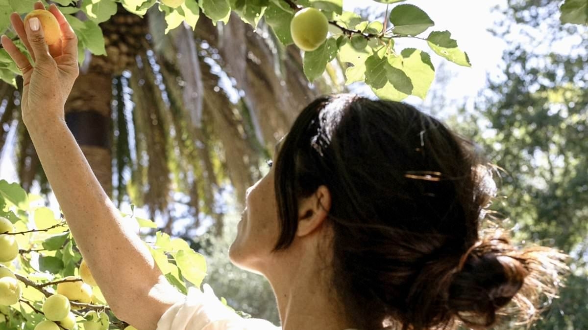 Royal fans spot confusing detail in Meghan Markle's fruit-picking picture