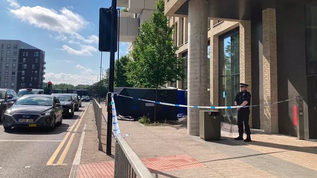 Tragedy as woman dies after 'falling from high rise building' in city centre - as police launch investigation