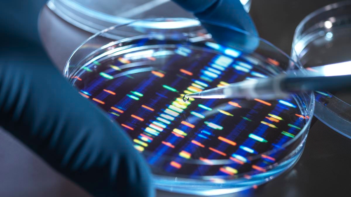 Scientists warn of 'catastrophic' risks as labs 'play God' with human DNA