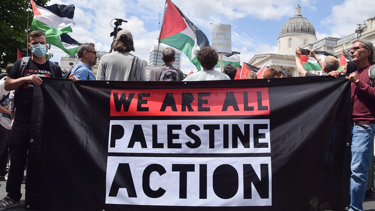 Palestine Action makes bid to block banning under anti-terror law