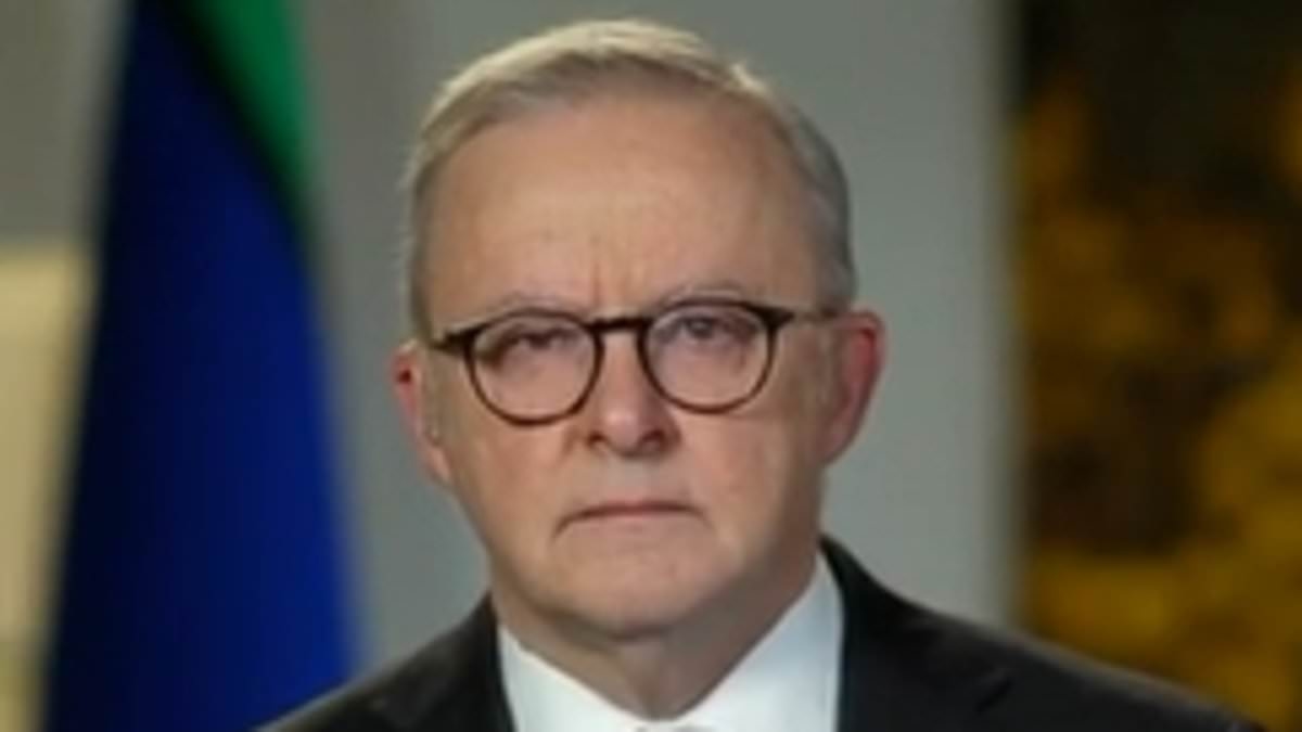 Albo, tell Donald Trump to 'bugger off': Brutal advice for PM as he drops clue about when he will meet US President