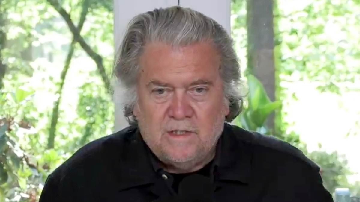Steve Bannon reveals the jaw-dropping hypocrisy of Elon Musk's attacks on Trump's 'big, beautiful bill'