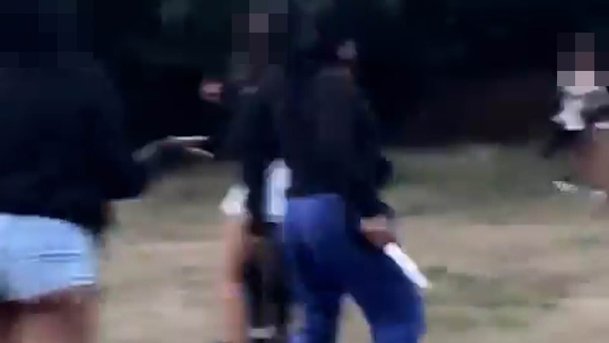 Moment knife-wielding attacker pulls out HUGE blade and lunges at party-goer in lawless London park
