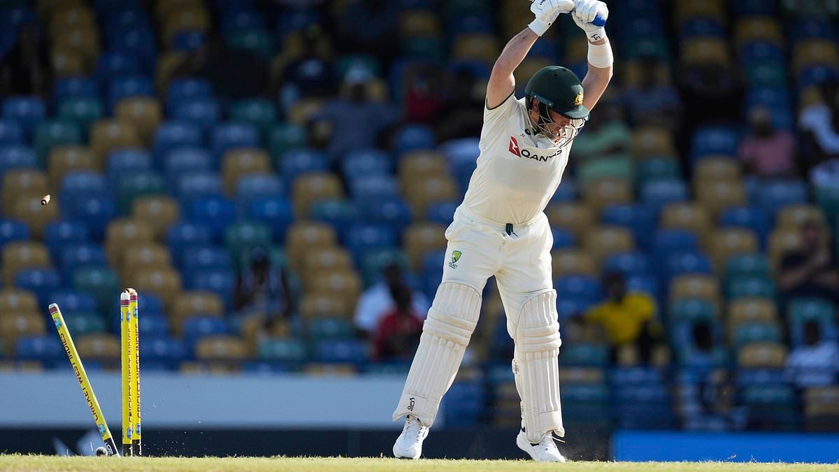 Inside the chaos of Australia's Ashes preparation: Why the runs have dried up, the David Warner problem and what it all means for England