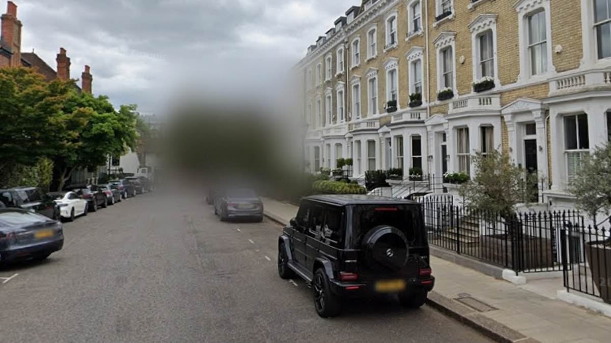 Now experts u-turn and say you SHOULDN'T blur your house on Google Maps - and warn doing so could actually encourage burglars to pay a visit