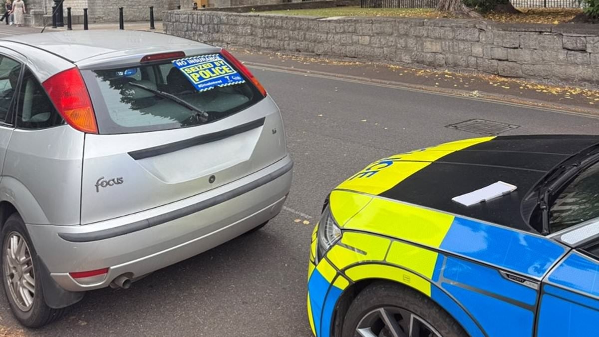 The post-Glastonbury clean-up festival goers didn't expect: Police seized 21 uninsured cars around Worthy Farm