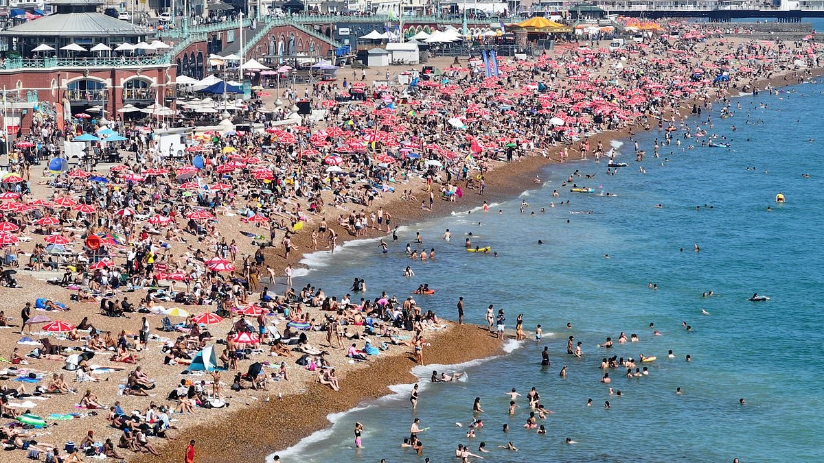 Scientists blame climate change for UK heatwave: Met Office is ‘virtually certain' 35°C temperatures were caused by global warming
