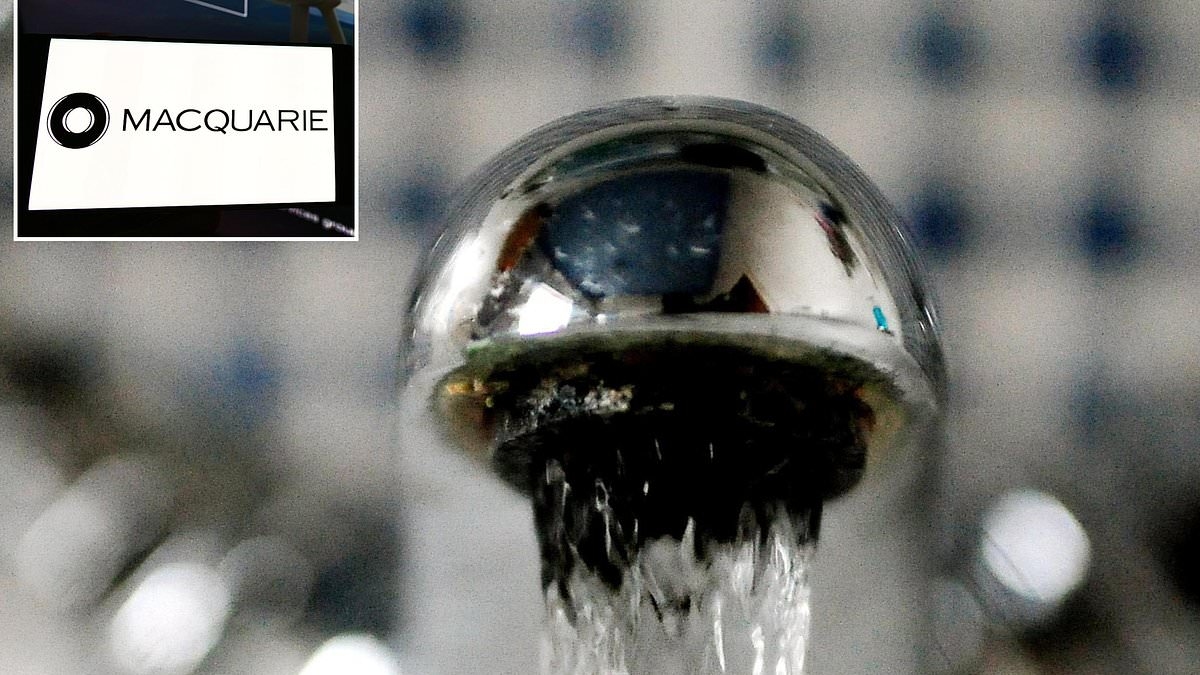 Southern Water handed £1.2bn liquidity boost by 'vampire kangaroo'