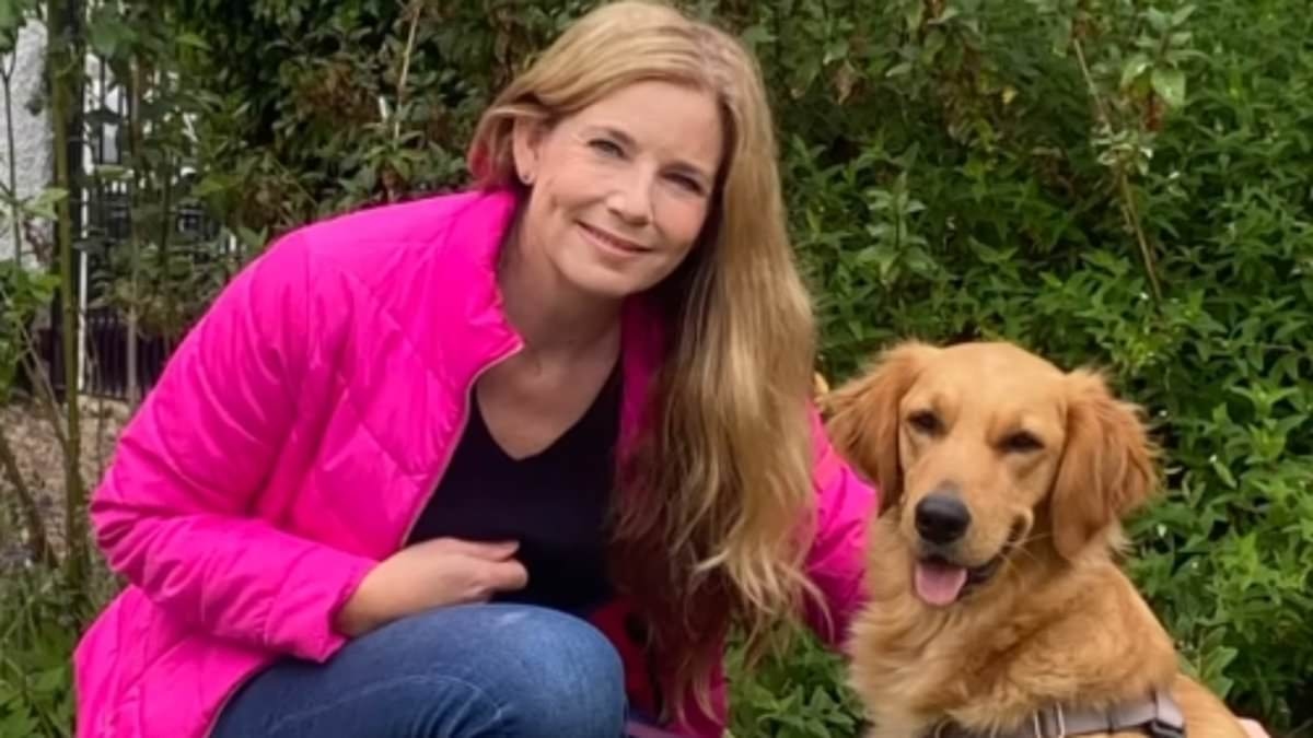 EXCLUSIVE I'm a dog trainer - here's how to entertain your pet when it's too hot to go for a walk