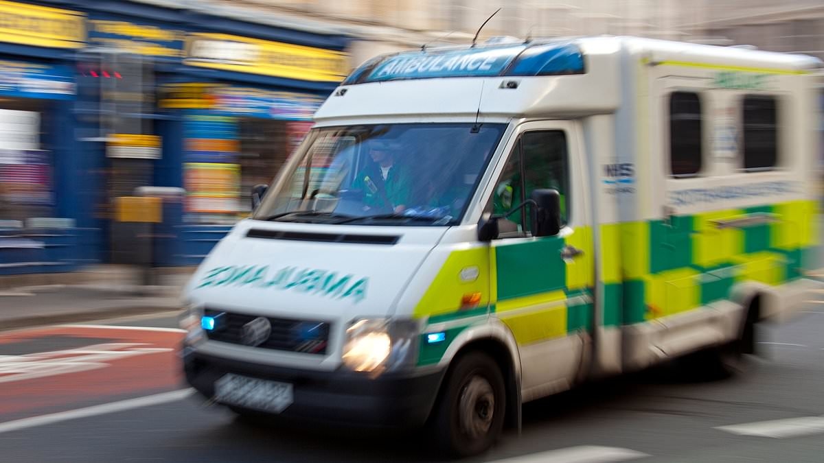 Mother made four ambulance calls and had 90-minute wait before son died in hospital from sepsis, inquest hears