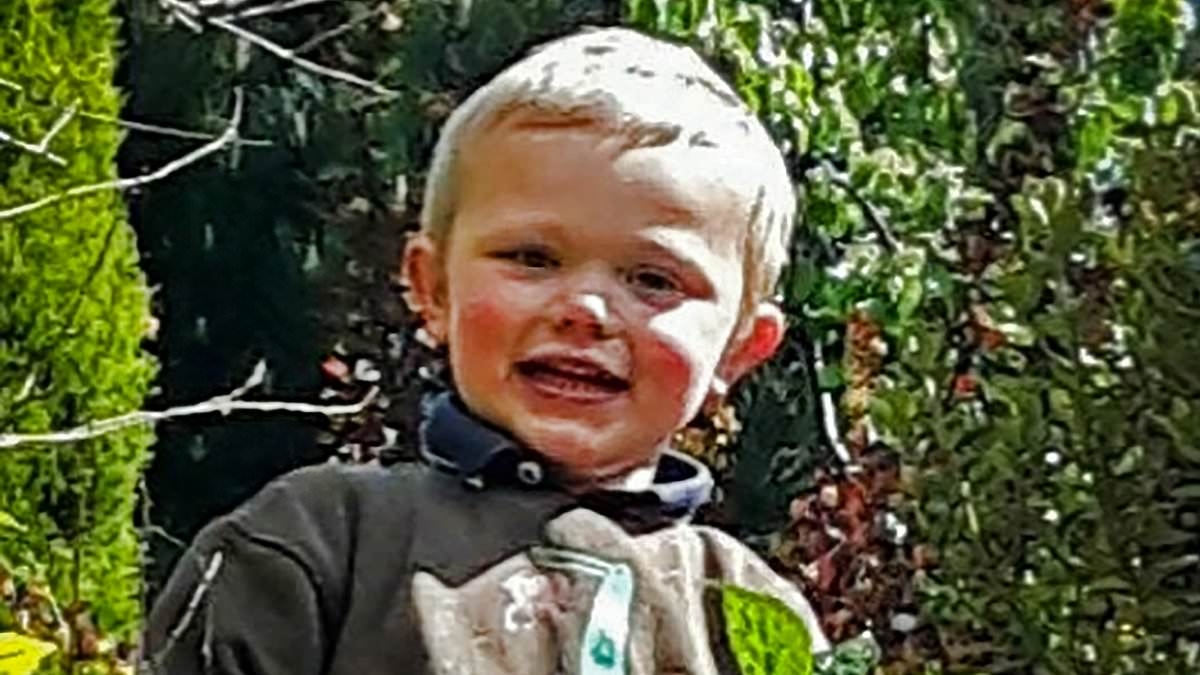 Father of boy, 3, mauled to death by 50kg dog knew the lad could get into the pen where he was killed, manslaughter trial hears