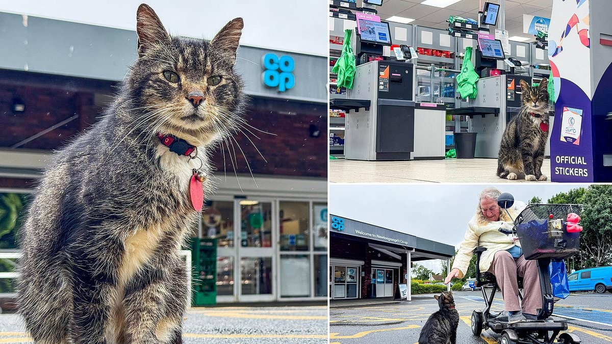 Shoppers rally as moggy Mo is banned from Co-op supermarket over ONE complaint