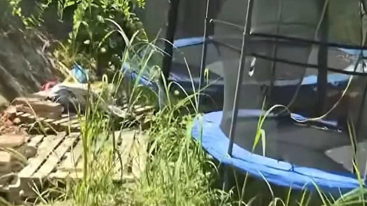 Father of boy, nine, and girl, seven, found in nappies on remote Italian farm 'hid the family away to protect them from COVID' and reveals why his children wore diapers in full interview