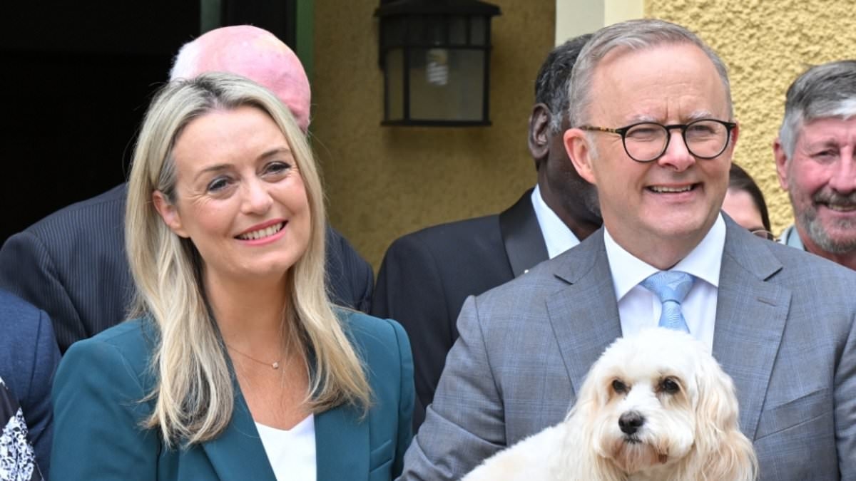 Why Anthony Albanese is being urged to get rid of his beloved dog Toto NOW: 'Awful'