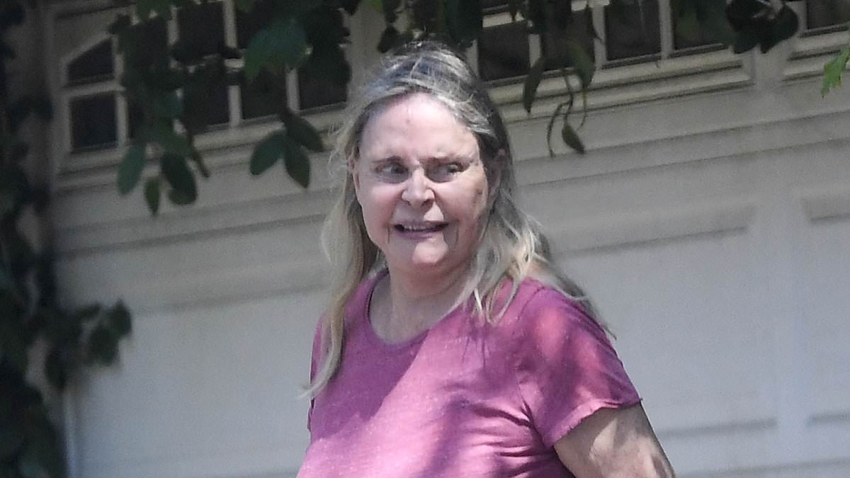 EXCLUSIVE Bond girl, 70, who starred on hit '70s sitcom is unrecognizable in rare LA sighting... can you guess who?