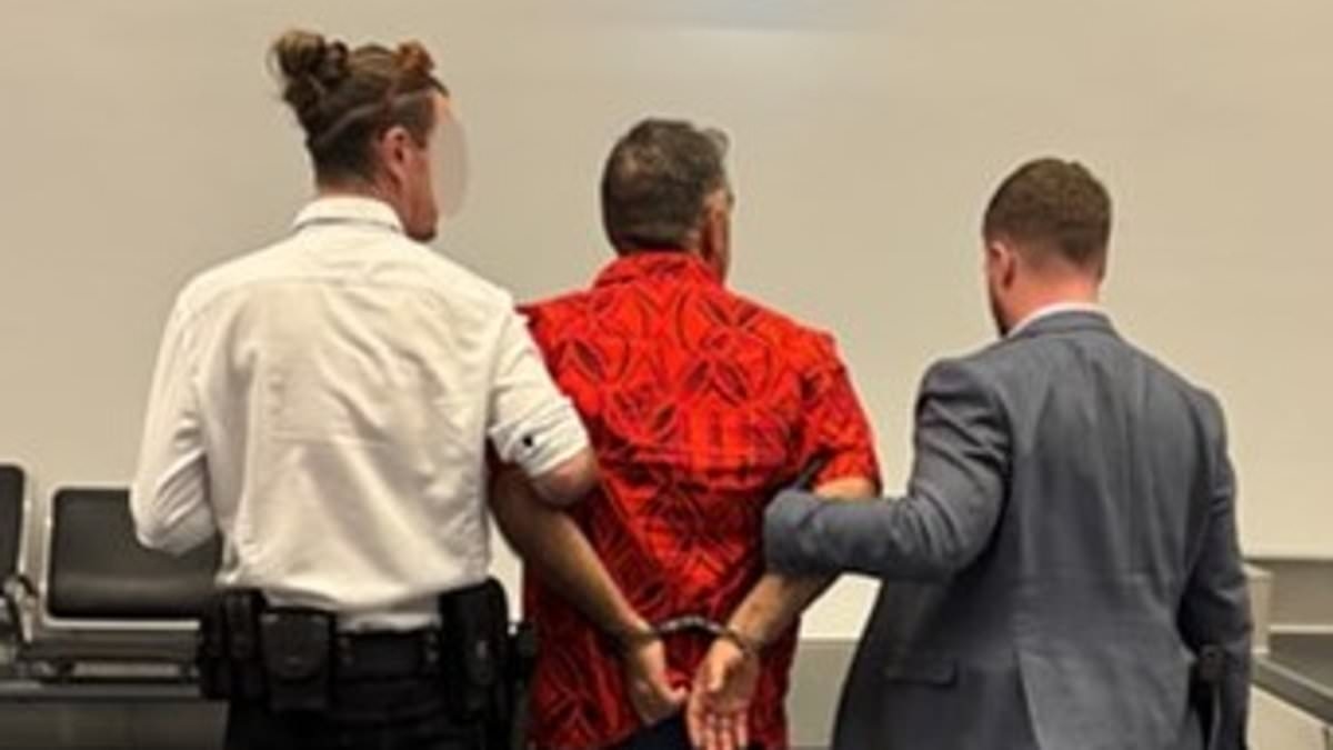 The bizarre place customs found FIVE hard drives on passenger who allegedly tried to smuggle child abuse material into Australia