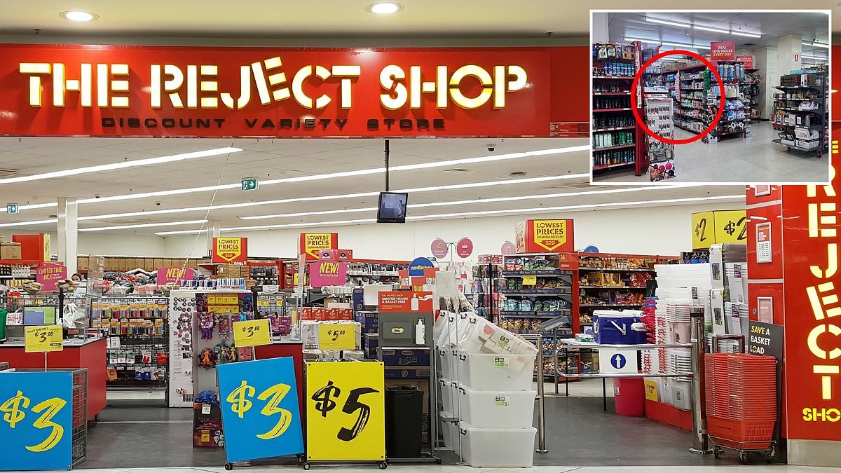 Forget Kmart: The Reject Shop sends fans wild over new homewares range - including a sell-out 'dupe' of designer brand