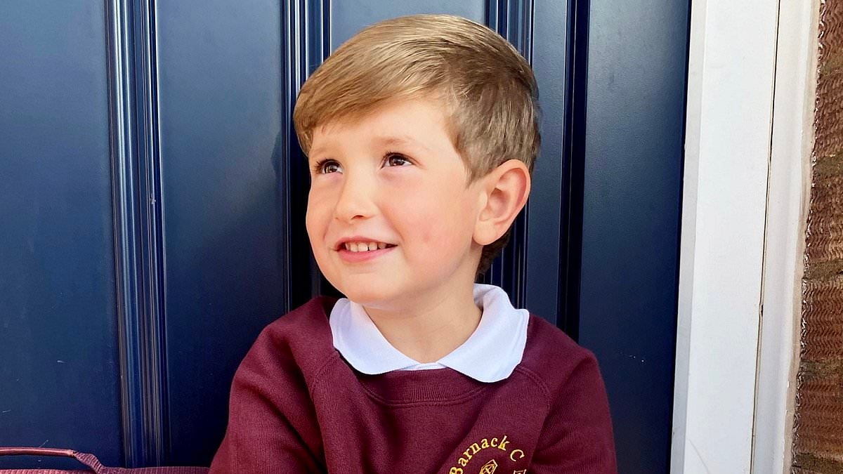 Teaching assistant mistook tragic schoolboy's allergic reaction for stomach bug because he was 'sick quite often'