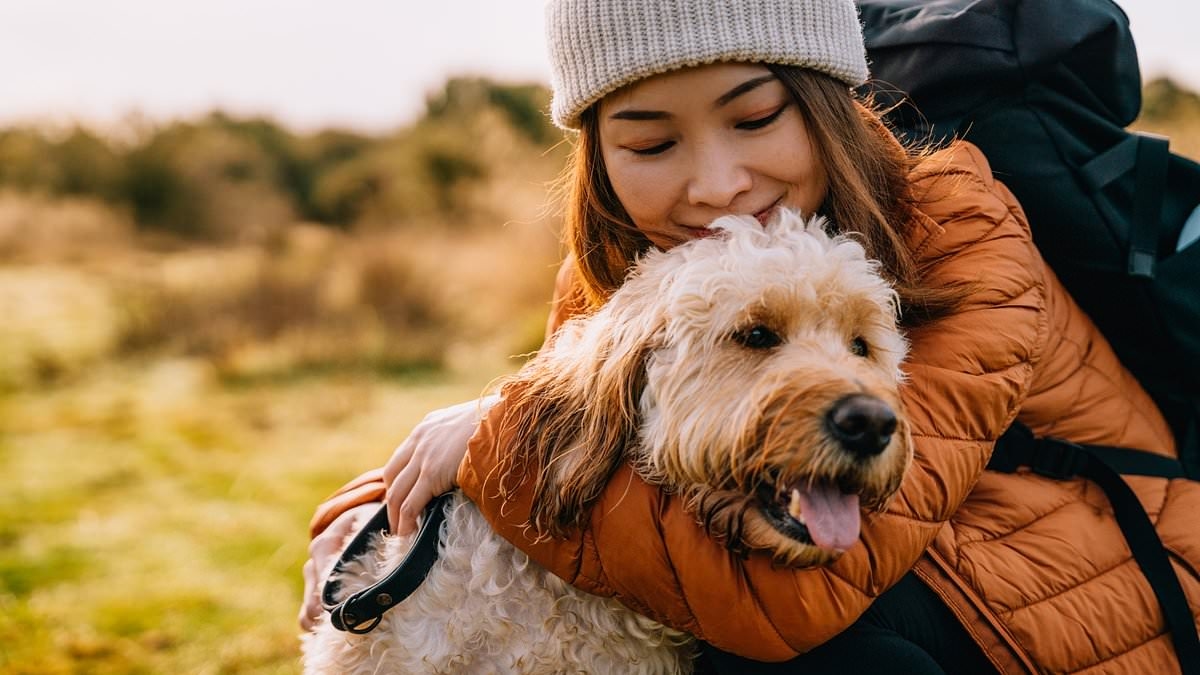 Experts sound alarm over a rise in a mysterious tick-borne illness spreading across America